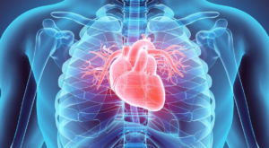 Cardiovascular Disease Risks Factors & Prevention