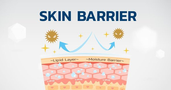 How Your Gut Health Affects Your Skin